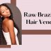 raw-brazilian-hair-vendor