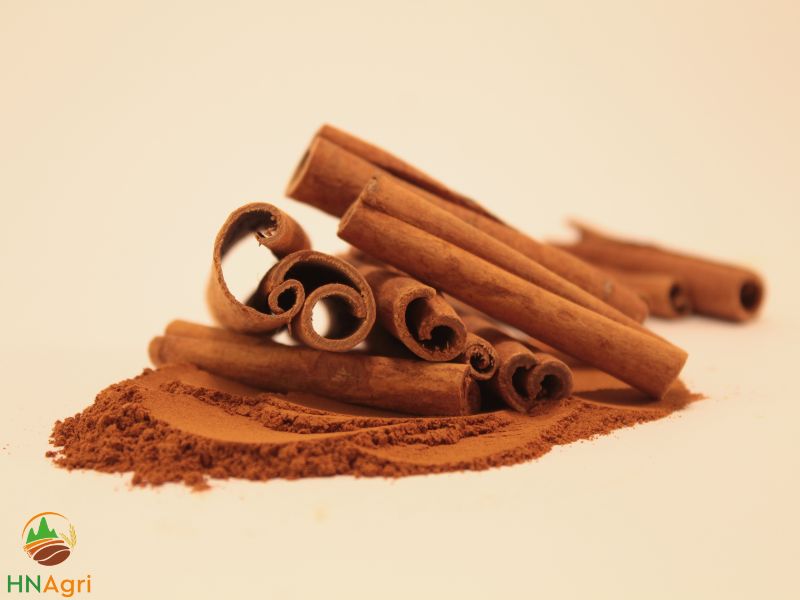 hanoi-cinnamon-top-supplier-of-high-quality-vietnamese-cinnamon-2