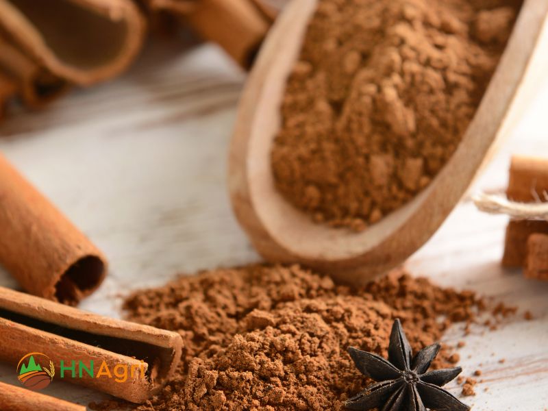 cinnamon-brands-how-to-choose-the-best-ones-for-wholesale-business-2