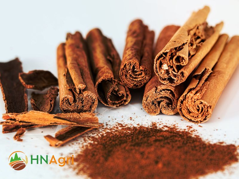 top-5-reliable-cinnamon-company-you-should-know-3