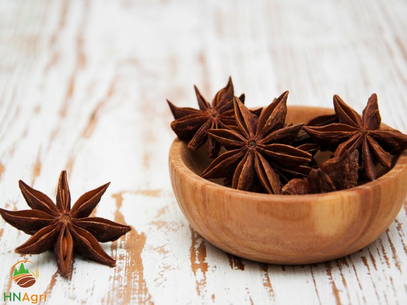 star-anise-a-versatile-spice-with-many-health-benefits-1